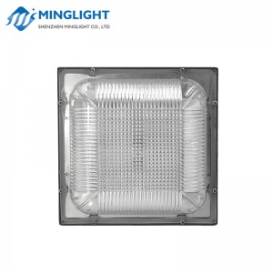 Φωτιστικό LED με κουβούκλιο CNPA 100W