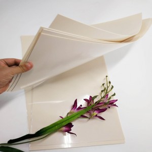 Υψηλής ποιότητας 0,5 χιλιοστά βερίκοκο άκαμπτο πλαστικό φύλλο πολυεστέρα PET για έπιπλα