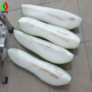 Μηχανή κοπής φρούτων / μηχανή κοπής φρούτων πεπόνι QD-1000