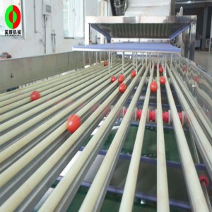 FJ-3000 ταξινομητής φρούτων