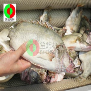 Πεπόνι καθαρισμού φρούτων μηχανή / πεπόνι καθαρισμού φρούτων καθαρισμού μηχανή / πεπόνι φρούτα βούρτσα καθαρισμού μηχανή ξεφλού...