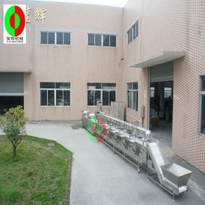 Πολυλειτουργική πλυντήριο ρούχων λαχανικών / λαχανικών πλυντήριο γραμμή παραγωγής / τριών στρωμάτων διαλογής καθαρής παραγωγής ...