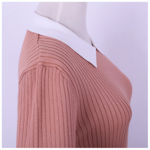 Γυναικεία Fit Polo λαιμό Dragonfly Κέντημα κοντό μανίκι Πουλόβερ πουλόβερ για επίσημη περίπτωση