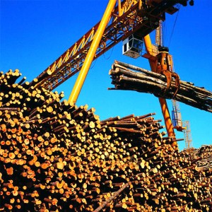 Γερανός Γερανός με Πιάσε