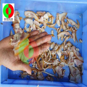 Αυτόματο μηχάνημα κοπής κρέατος / κοπής κρέατος πολλαπλών λειτουργιών / τεμαχιστής κρέατος μεσαίου μεγέθους QH-500