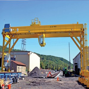 Ευρωπαϊκό γερανό γερανού