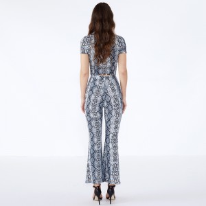 Leopard Εκτύπωση Bodycon Σορτς Δύο Κομμάτι Σέτ Γυναικεία Ένδυση