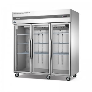 Πλήρης ανοξείδωτος ψύκτης εμφάνισης πολυτελείας από ανοξείδωτο χάλυβα