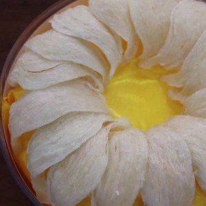 Φωλιά για πτηνά