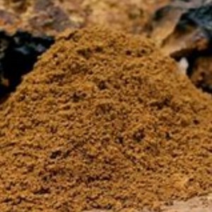 Chaga μανιτάρι inonotus obliquues υγειονομική περίθαλψη συμπλήρωμα ευεξίας