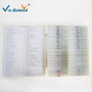 100pcs πακέτα ανθρώπινης παθολογίας μικροσκοπικά προετοιμασμένα διαφάνειες