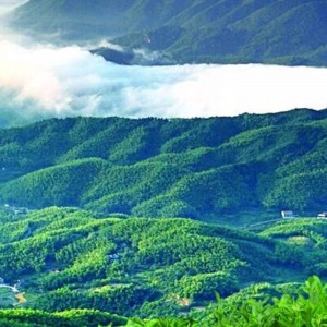 δέκα τσάι του τσαγιού hunan anhua μαύρο τσάι τσάι φροντίδας υγείας