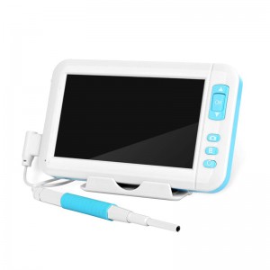 4.3 ιντσών οθόνη υψηλής ευκρίνειας οθόνη 1080p 3.9MM WiFi αυτί Otoscope ασύρματη ψηφιακή ενδοσκόπιο φωτογραφική μηχανή αυτί