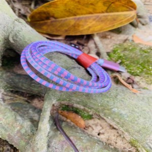 Πλάκες δεδομένων τηλεφώνου