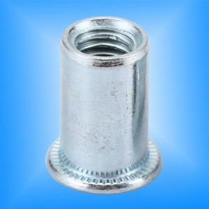 Στρογγυλό σώμα επίπεδης κεφαλής