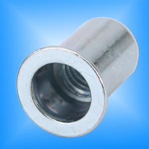 Στρογγυλό σώμα επίπεδης κεφαλής