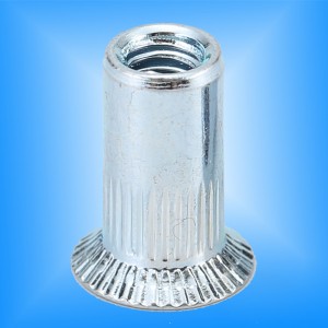 Καρφιτσαρισμένο σώμα κεφαλής