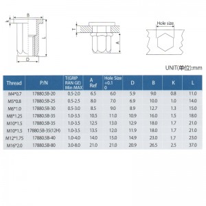 Flat Head Full-Hex Body