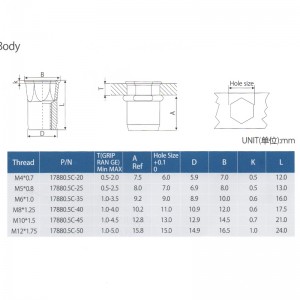 Μειώστε το σώμα Hex Inner-Hex