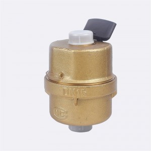 Ογκομετρική μετρητής νερού περιστροφικού εμβόλου