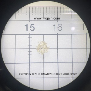 Εξατομικευμένη εξαιρετική σπάνια γη μόνιμη micro smco μαγνήτη