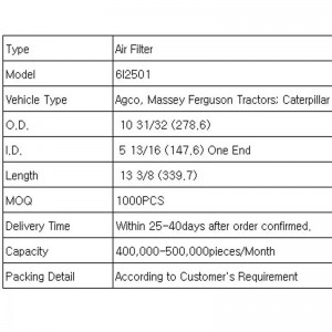 Φίλτρο αέρα (6I2501)