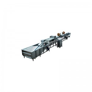 WX150 Μηχανή πλύσης αυγών πάπιας