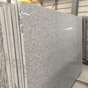 Κίνα Bianco Sardo G623 Πλάκες από γρανίτη
