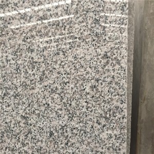 Κίνα Bianco Sardo G623 Πλάκες από γρανίτη