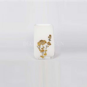 Τετράγωνο λευκό με ασημένια υαλοβάμβακα αξεσουάρ μπάνιου με κάτοχος οδοντόβουρτσας