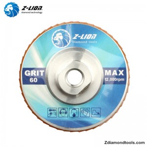 ZL-WMCY02 δίσκοι λείανσης διαμέτρου 5 ιντσών με σπείρωμα