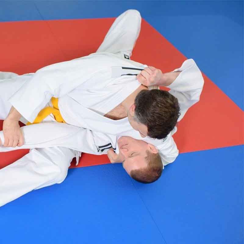 Επαγγελματική Πάλη Επίσημο Χαρακτηριστικό Cushioning Χαλί (ACF)