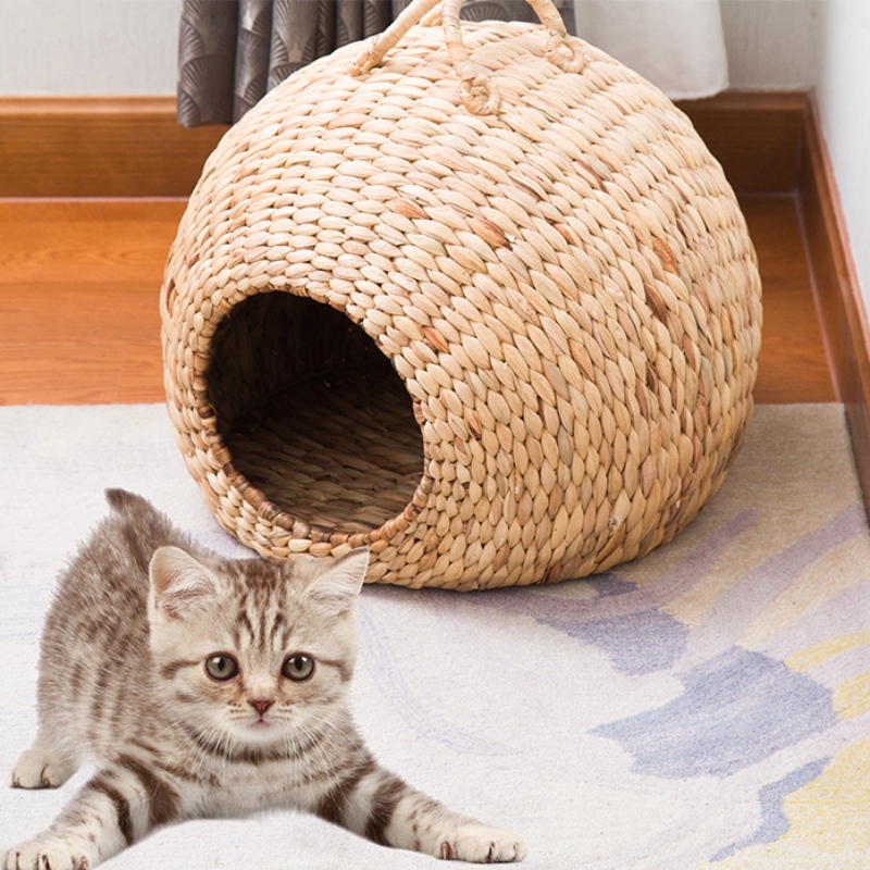 Pet Hunt \/ Κρεβάτι