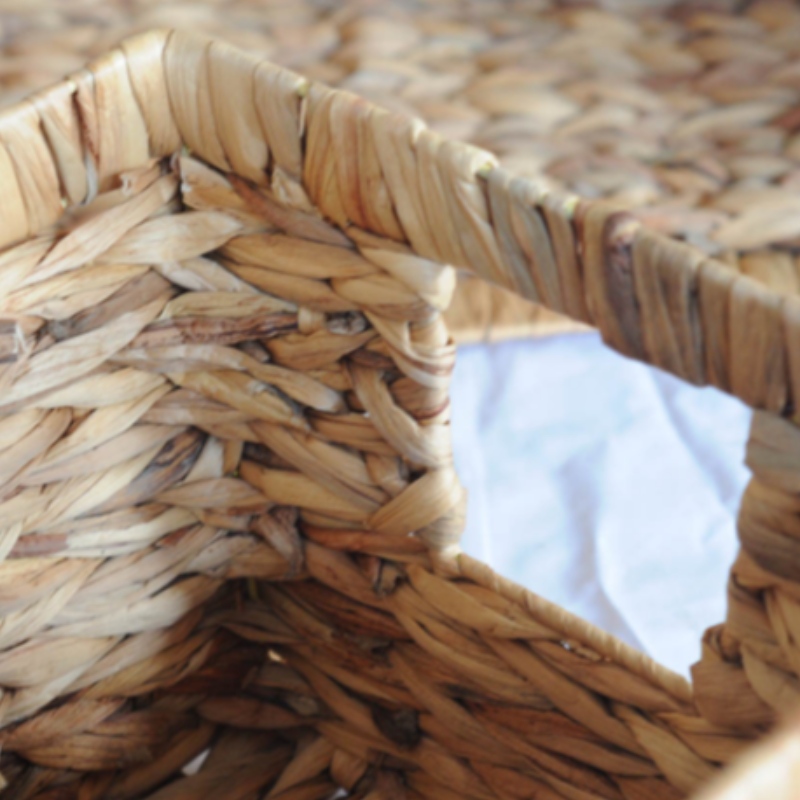 Καλάθι Υακίνθου Νερού