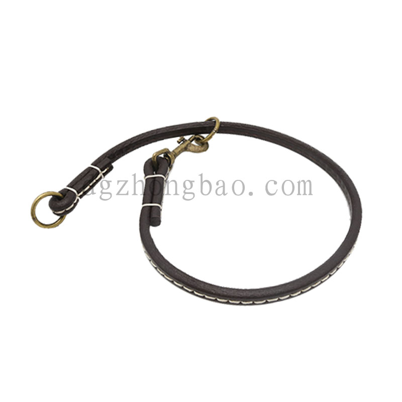 Πολυλειτουργικό κολάρο δέρματος για κατοικίδια