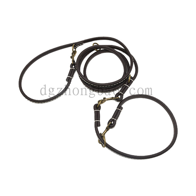 Πολυλειτουργικό κολάρο δέρματος για κατοικίδια