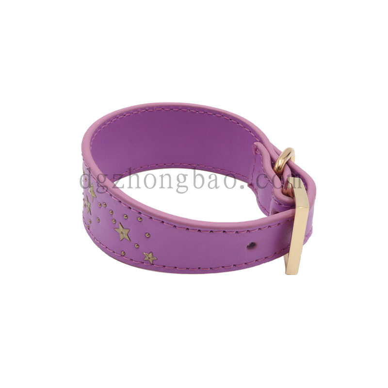 Απομίμηση αυχενικού μεταλλικού κολάρο συντροφιάς