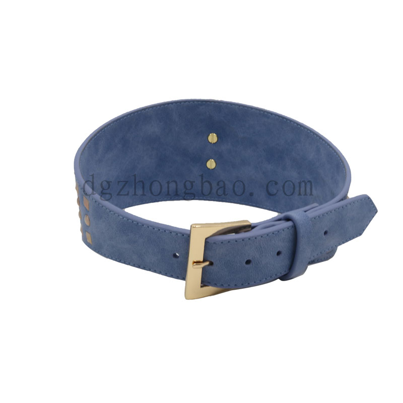 Ειδικό κολάρο σκυλιών μεγέθους