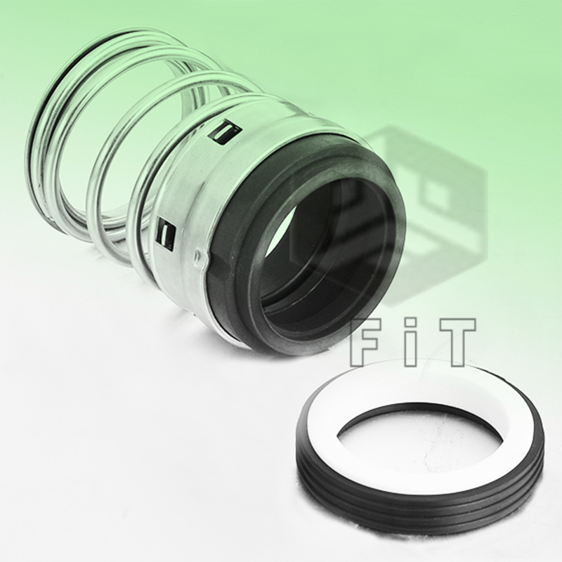 Ελαστομερές κάτω από μηχανικές σφραγίδες FT1B