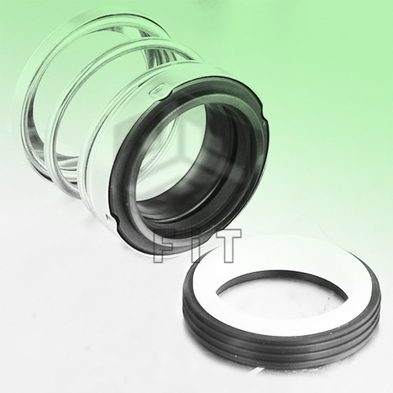 Ελαστομερές κάτω από μηχανικές σφραγίδες FT24