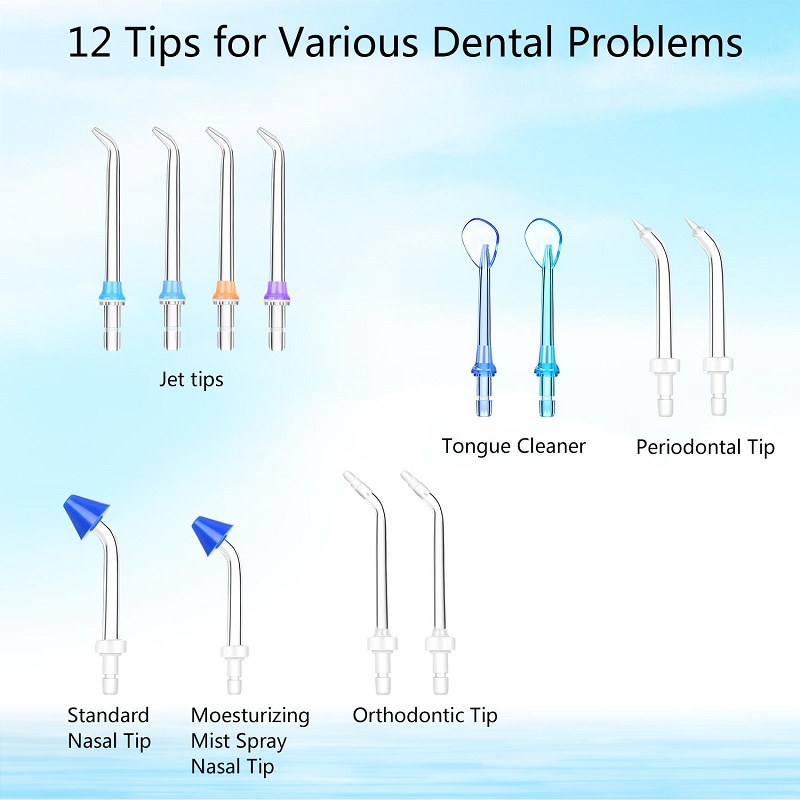 H2ofloss Dental Flosser για καθαρισμό δοντιών με 12 πολυλειτουργικές συμβουλές & 800ml, επαγγελματικό πάτωμα στοματικό πότισμα για ήπιο σχεδιασμό
