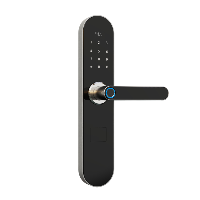Χονδρικό εμπόριο δακτυλικών αποτυπωμάτων APP Smart Door Lock με wifi απομακρυσμένο ξεκλείδωμα και ξεκλείδωμα ερωτήματος εγγραφής