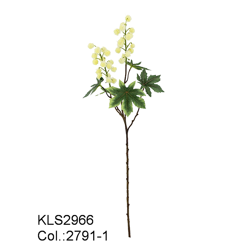 67 εκατοστά ψεκασμού Ricinus \\/ 35 κεφαλές