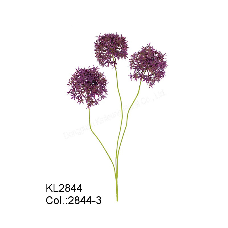 64cm Allium x 3 με Συμβουλές