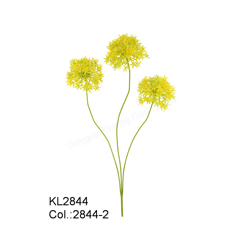 64cm Allium x 3 με Συμβουλές