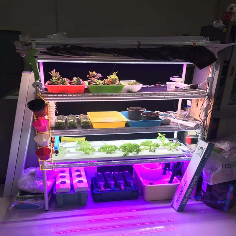 G1 Φώτα ανάπτυξης φυτών