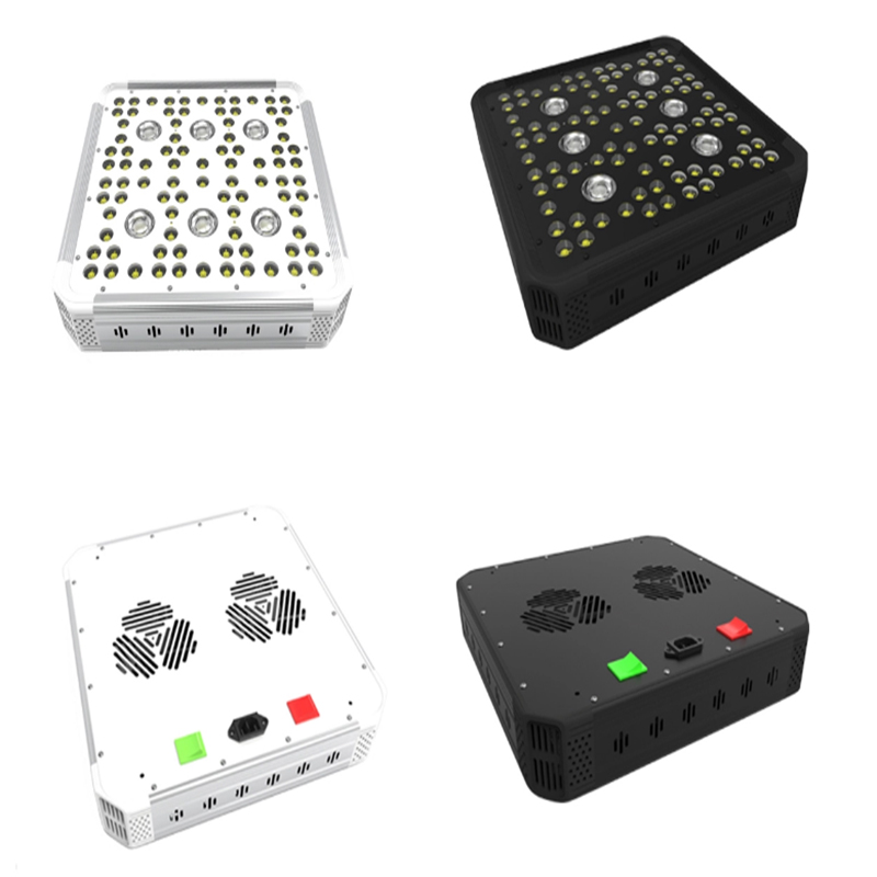 G1 Φώτα ανάπτυξης φυτών