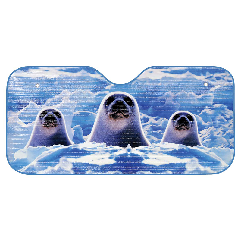 μπροστινή ομπρέλα αυτοκινήτου