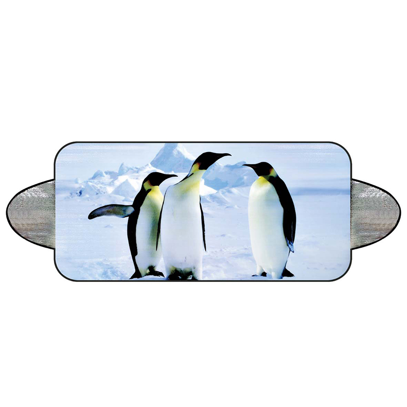 σκιά χιονιού αυτοκινήτου