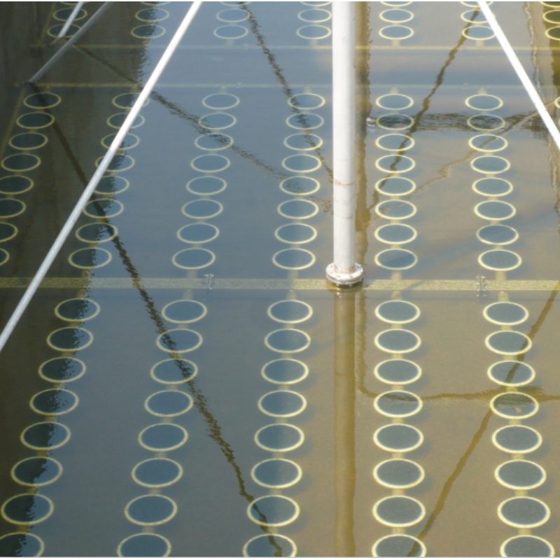 διασκορπιστής λεπτών φυσαλίδων